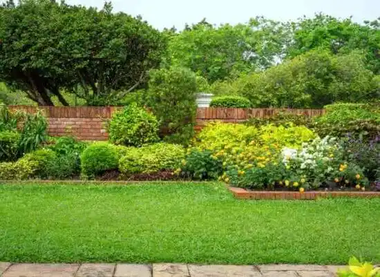 landscaping services Edmore